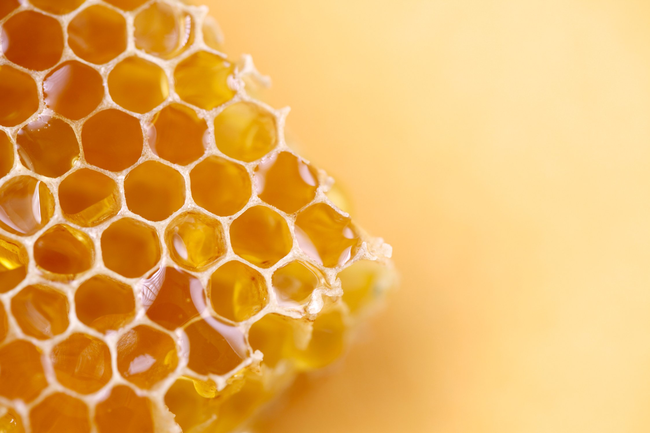 Honeycomb